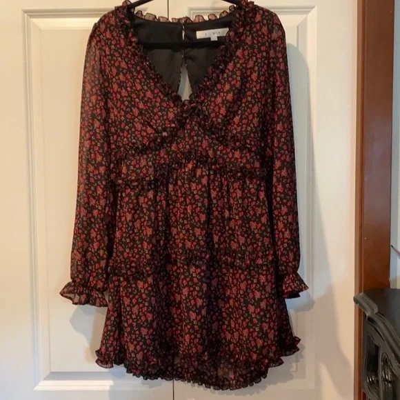 Row A Floral Mini Dress. Size M. Open Back. Originally From Nordstrom. Red/Black - Picture 4 of 9